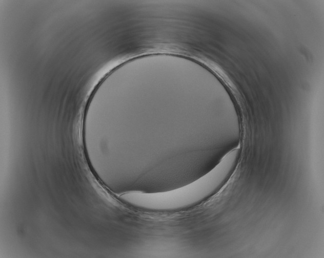 X0000113111246200909251045