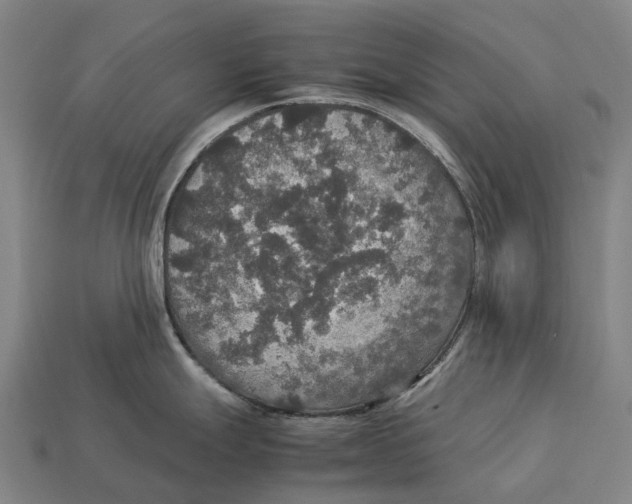 X0000113111247200909251046