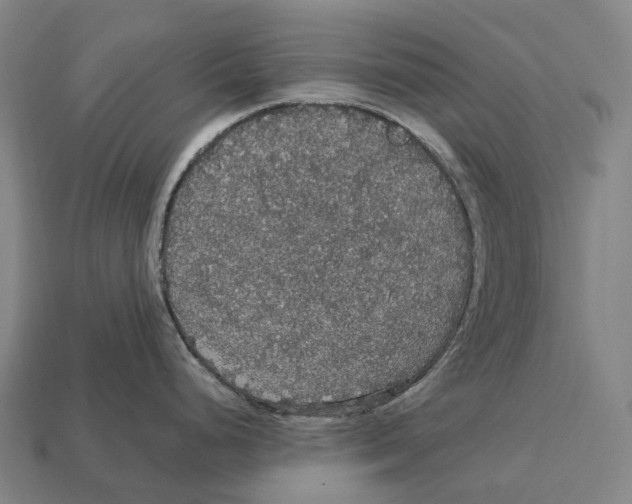 X0000113111248200909251046