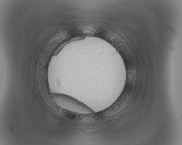 X0000113111249200909251045