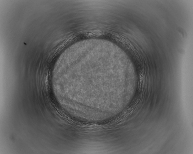 X0000113111250200909251045