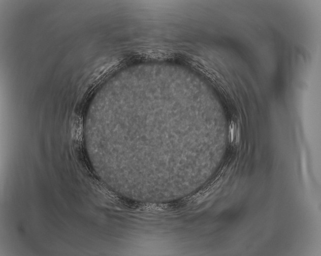 X0000113111251200909251045