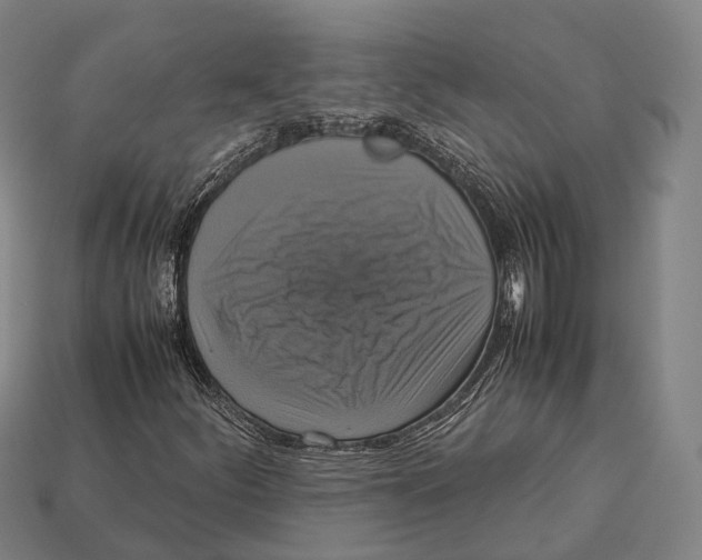 X0000113111252200909251045