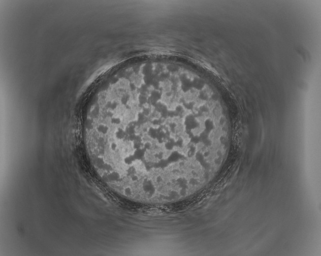 X0000113111255200909251045