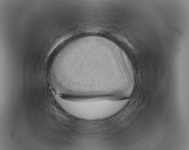 X0000113111256200909251045