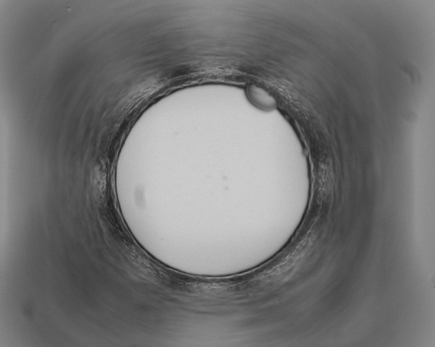 X0000113111257200909251045