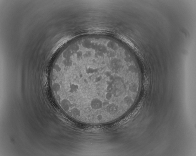 X0000113111259200909251045