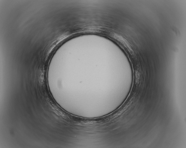 X0000113111260200909251045