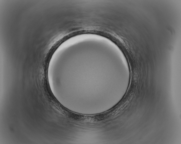 X0000113111263200909251045