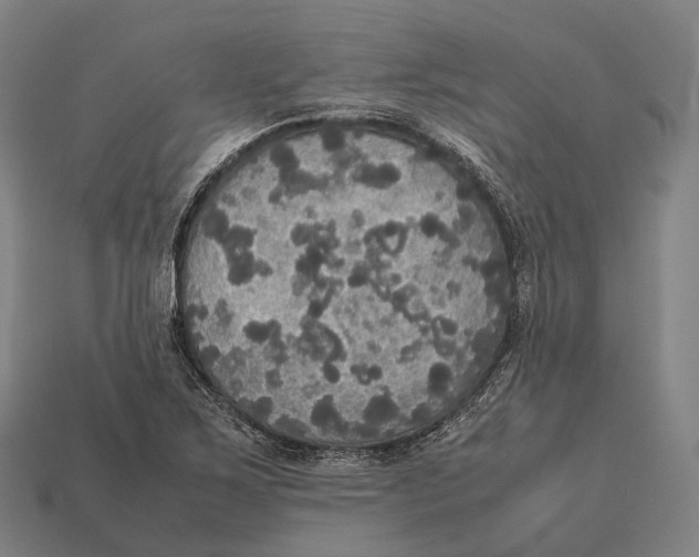 X0000113111267200909251045