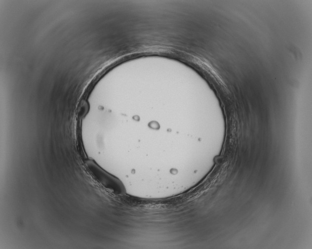 X0000113111268200909251045