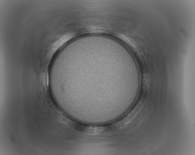 X0000113111269200909251045