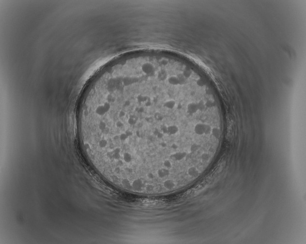 X0000113111271200909251045