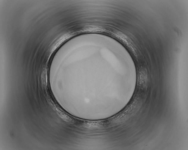 X0000113111274200909251045
