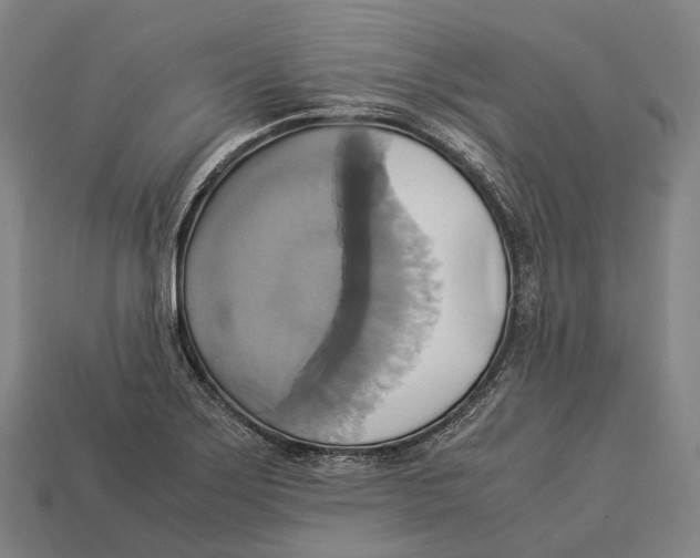 X0000113111275200909251045