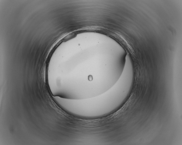 X0000113111276200909251045