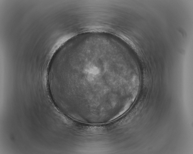 X0000113111277200909251045