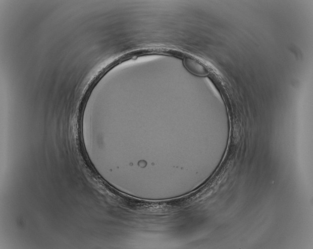 X0000113111279200909251045