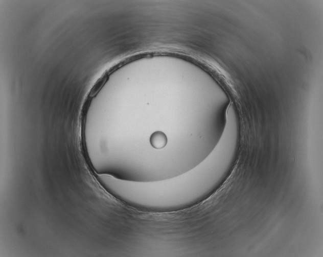 X0000113111280200909251045