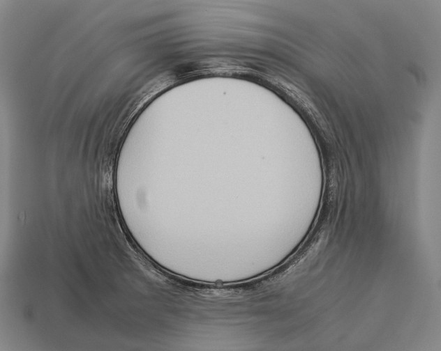 X0000113111281200909251044