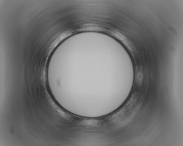 X0000113111282200909251044
