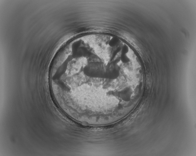X0000113111283200909251044