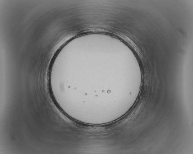 X0000113111285200909251044
