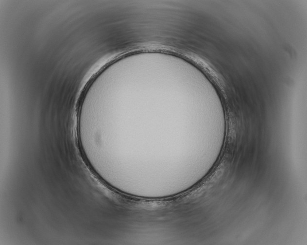 X0000113111286200909251044