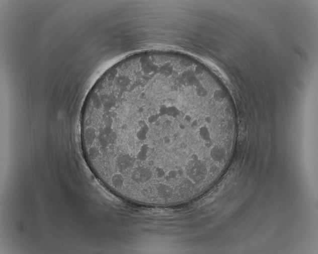 X0000113111287200909251044