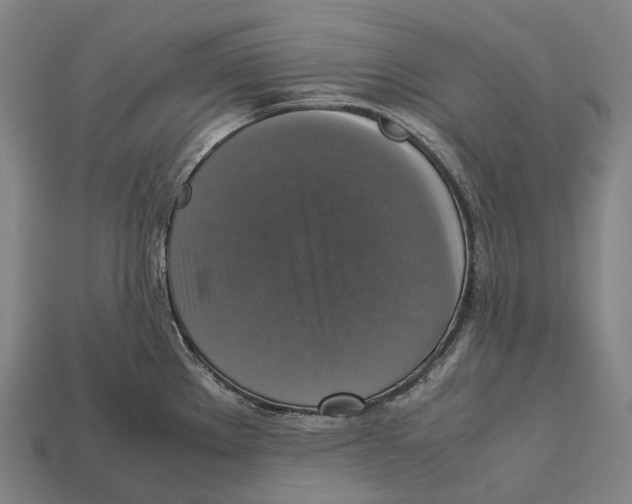 X0000113111289200909251044