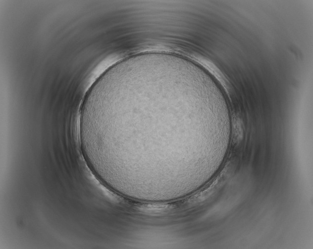 X0000113111290200909251044