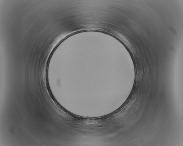 X0000113111291200909251044