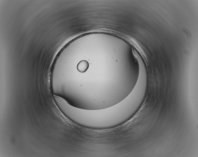 X0000113111292200909251044