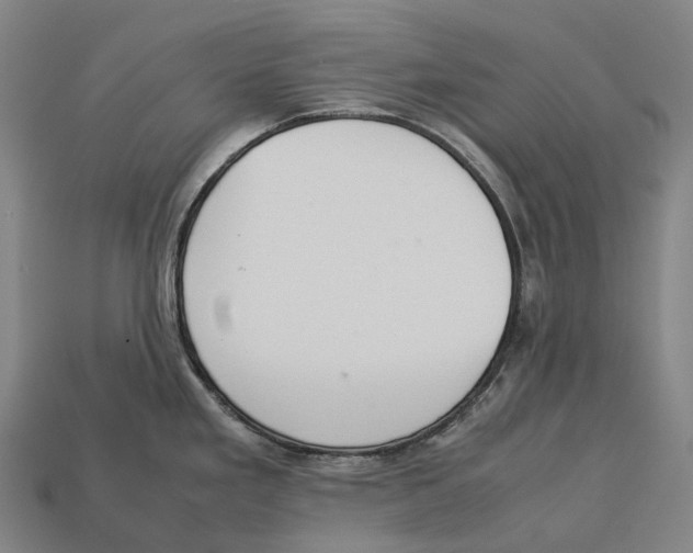 X0000113111293200909251044