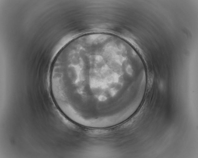 X0000113111294200909251044