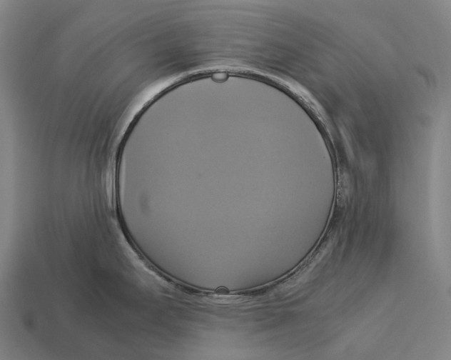 X0000113111295200909251044