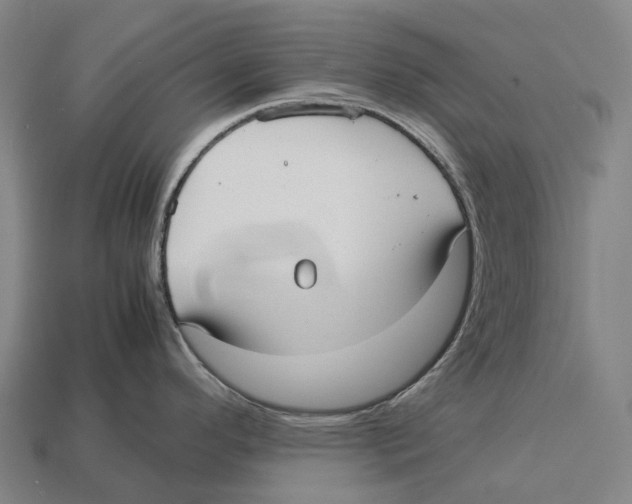 X0000113111296200909251044