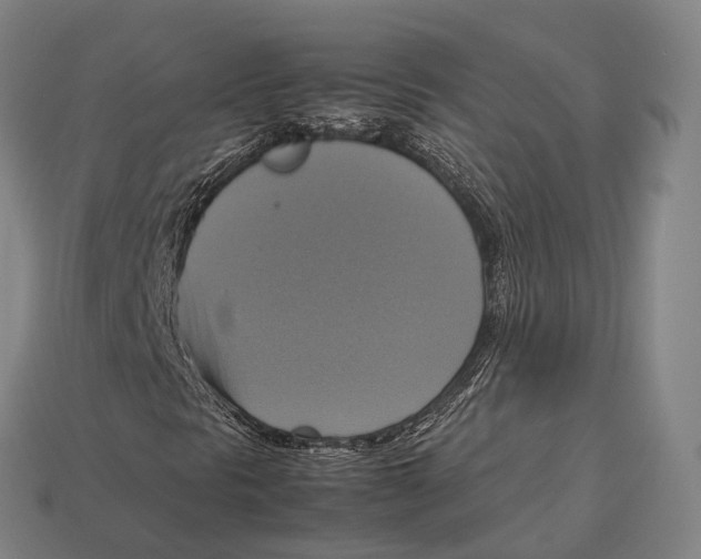 X0000113111297200909251044