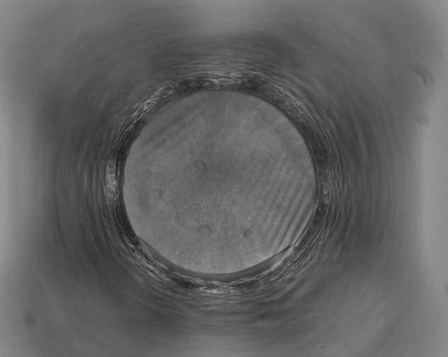 X0000113111298200909251044