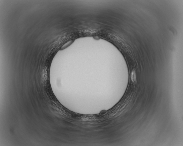 X0000113111299200909251044
