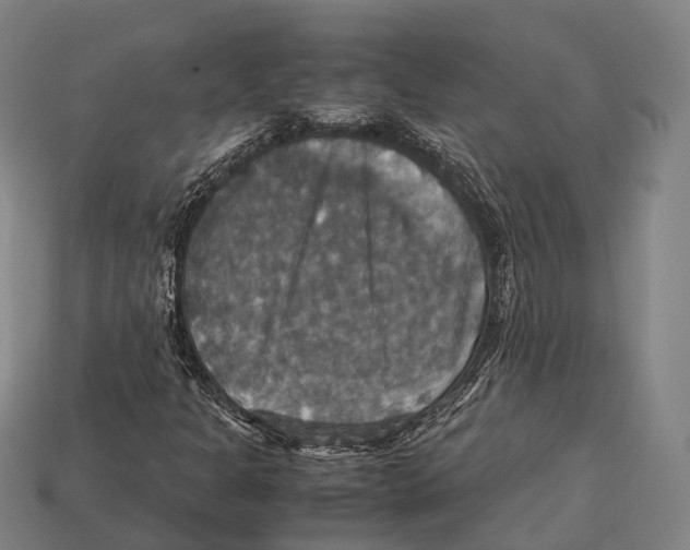 X0000113111301200909251044