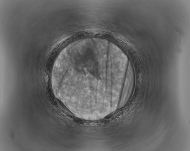 X0000113111302200909251044