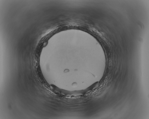 X0000113111303200909251044