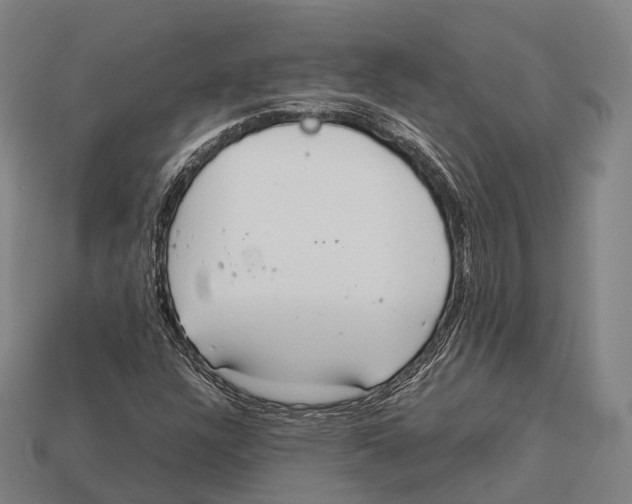 X0000113111304200909251044