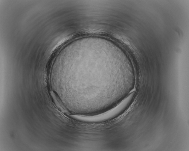 X0000113111306200909251044
