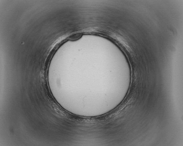 X0000113111308200909251044