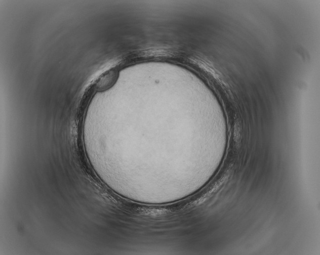 X0000113111309200909251044