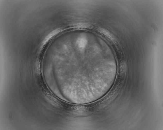 X0000113111310200909251044