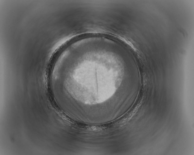 X0000113111311200909251044