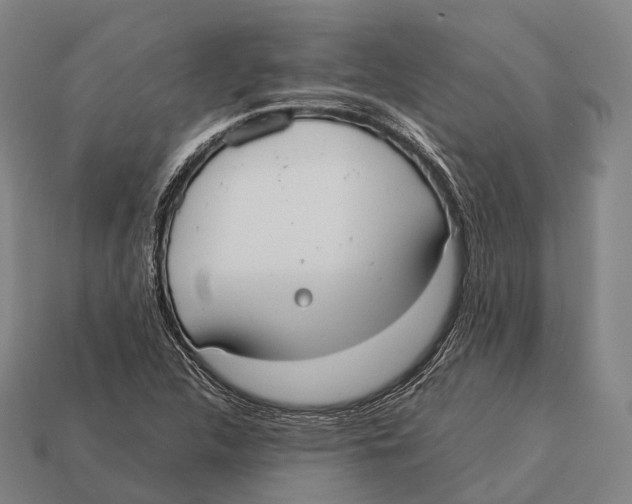 X0000113111312200909251044